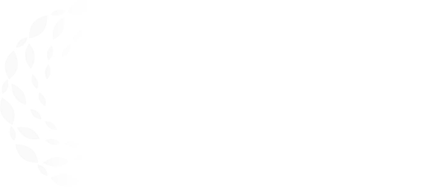 BLW KILISESI